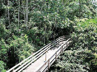 Pakaas Palafita Lodge Guayaramerim Luaran gambar